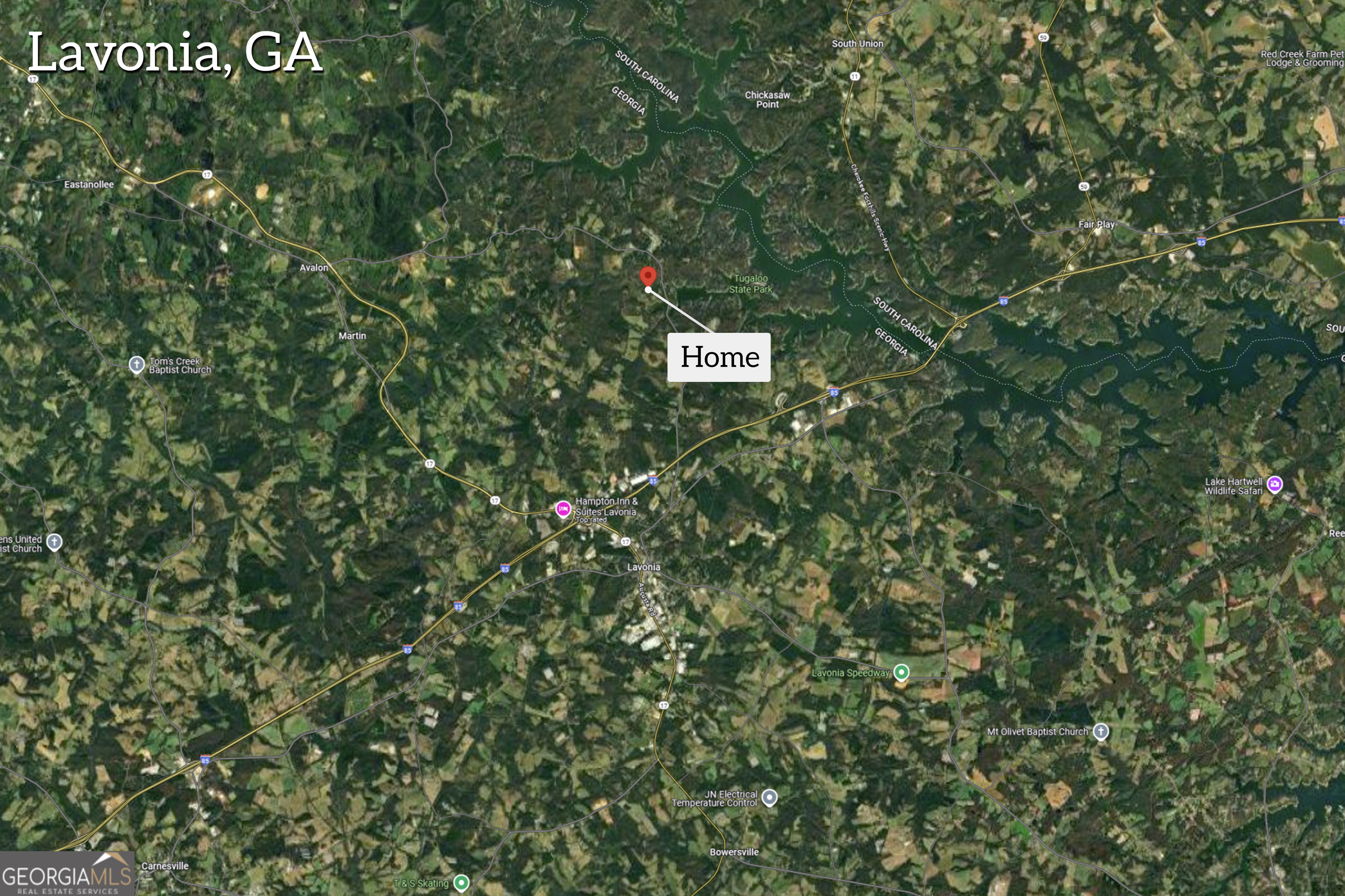 162 Stillwater Road Lavonia, GA 30553 - Photo 36 of 45 a view of a tree in a forest