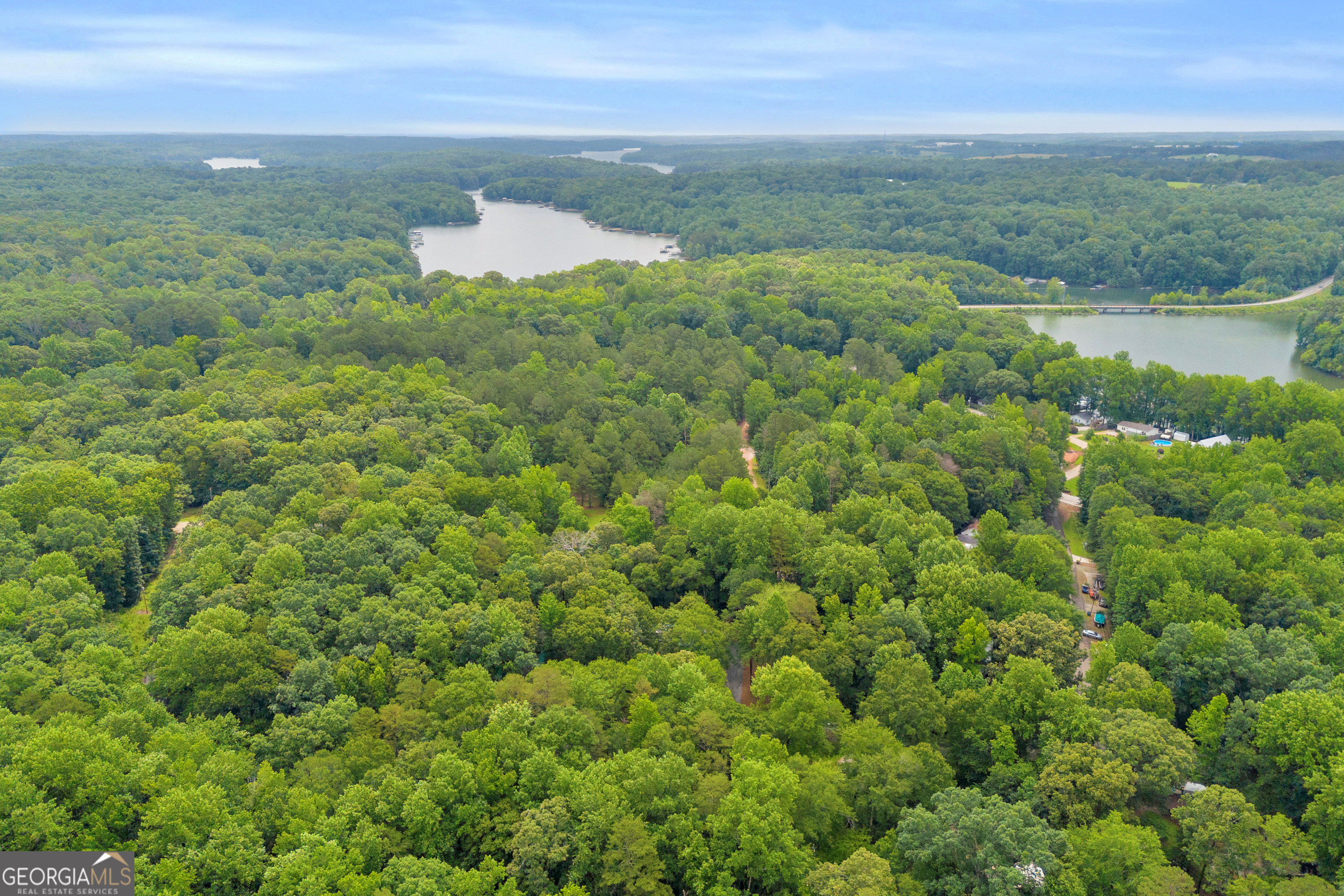 162 Stillwater Road Lavonia, GA 30553 - Photo 37 of 45 an aerial view of residential houses with outdoor space and trees