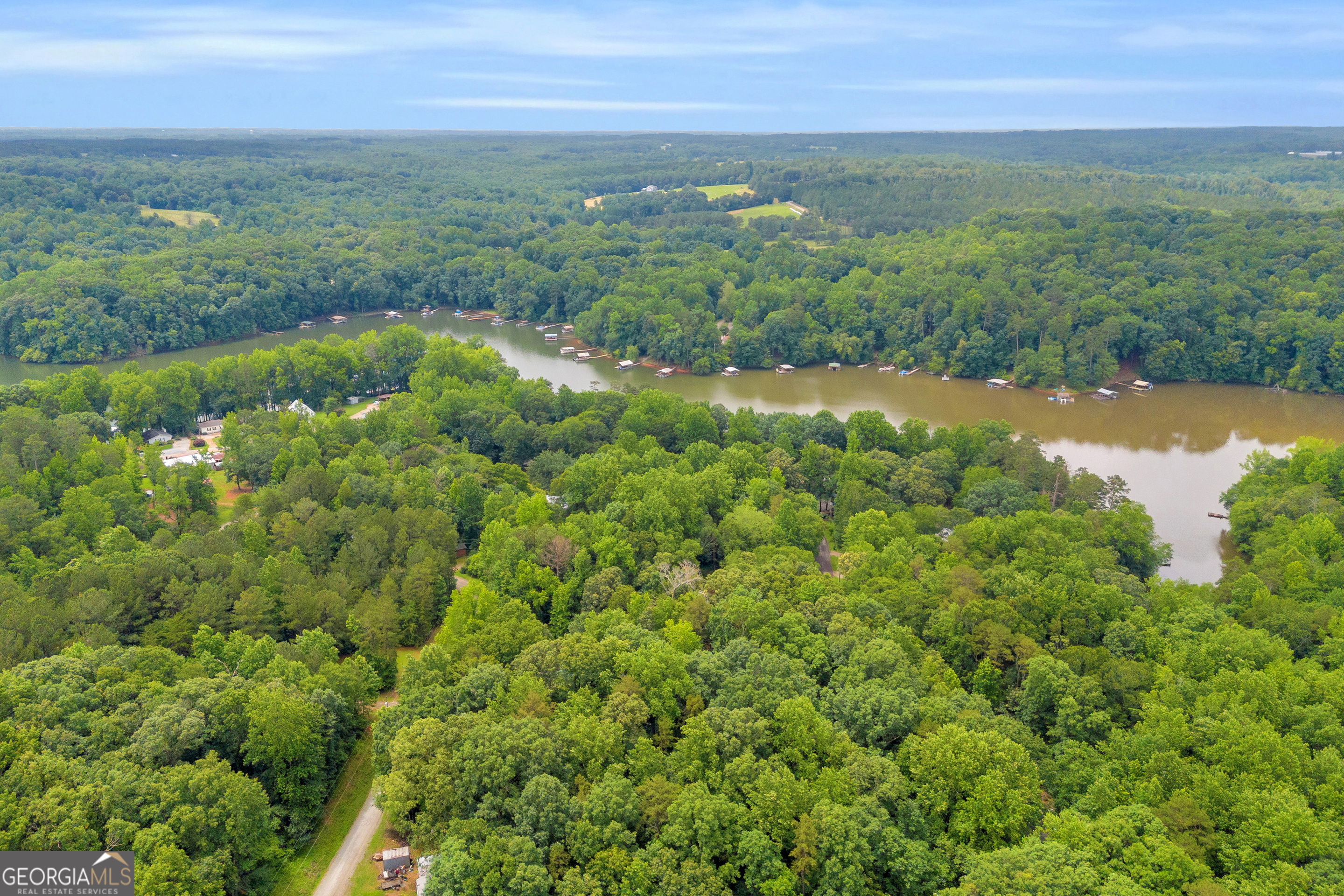 162 Stillwater Road Lavonia, GA 30553 - Photo 43 of 45 a view of a field with an ocean