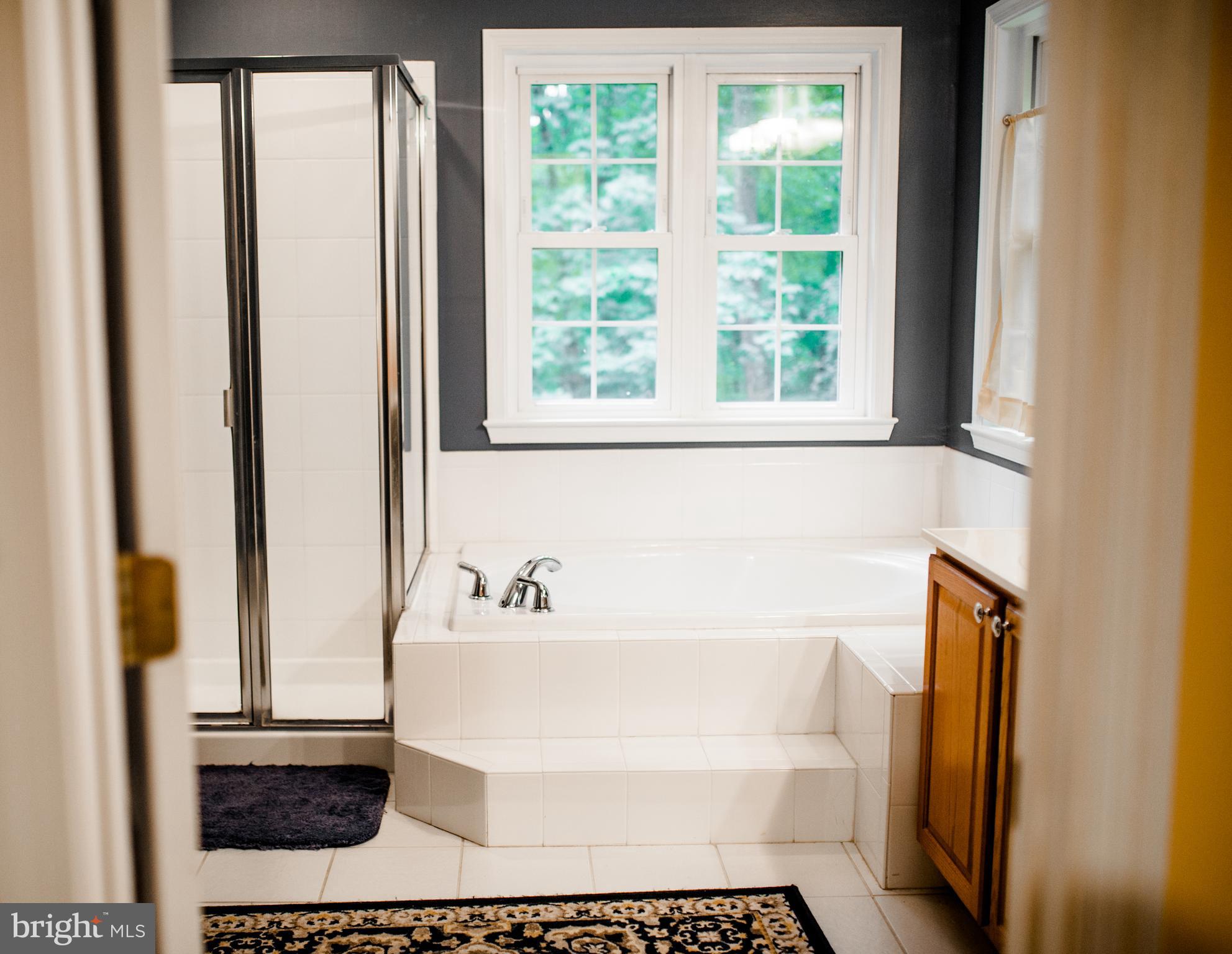 4305 Travancore Road Randallstown, MD 21133 - Photo 14 of 39 Bath (Master)