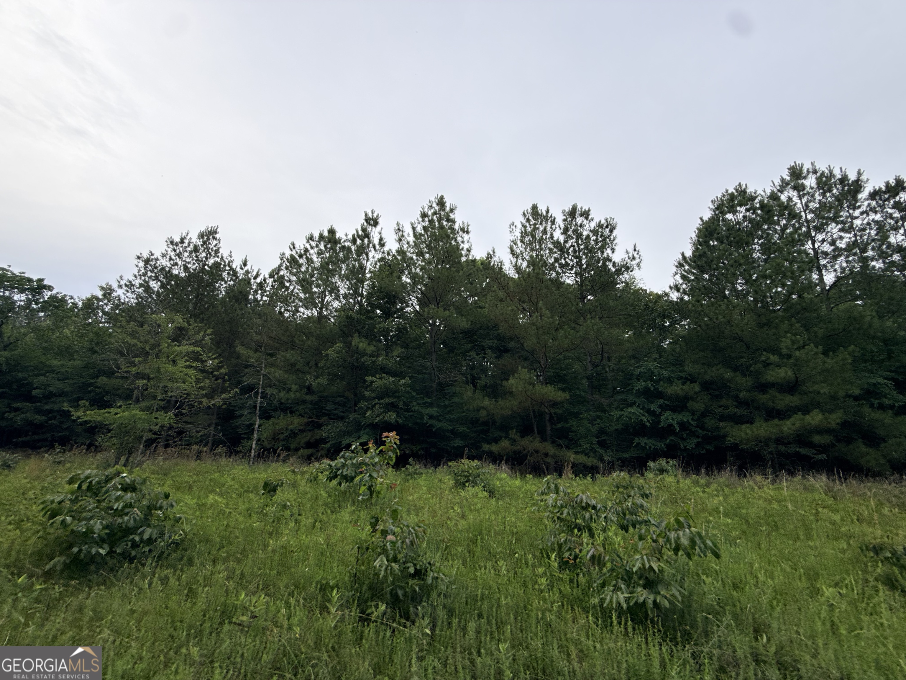 2 Bethesda Church Road Lexington, GA 30648 - Photo 8 of 66