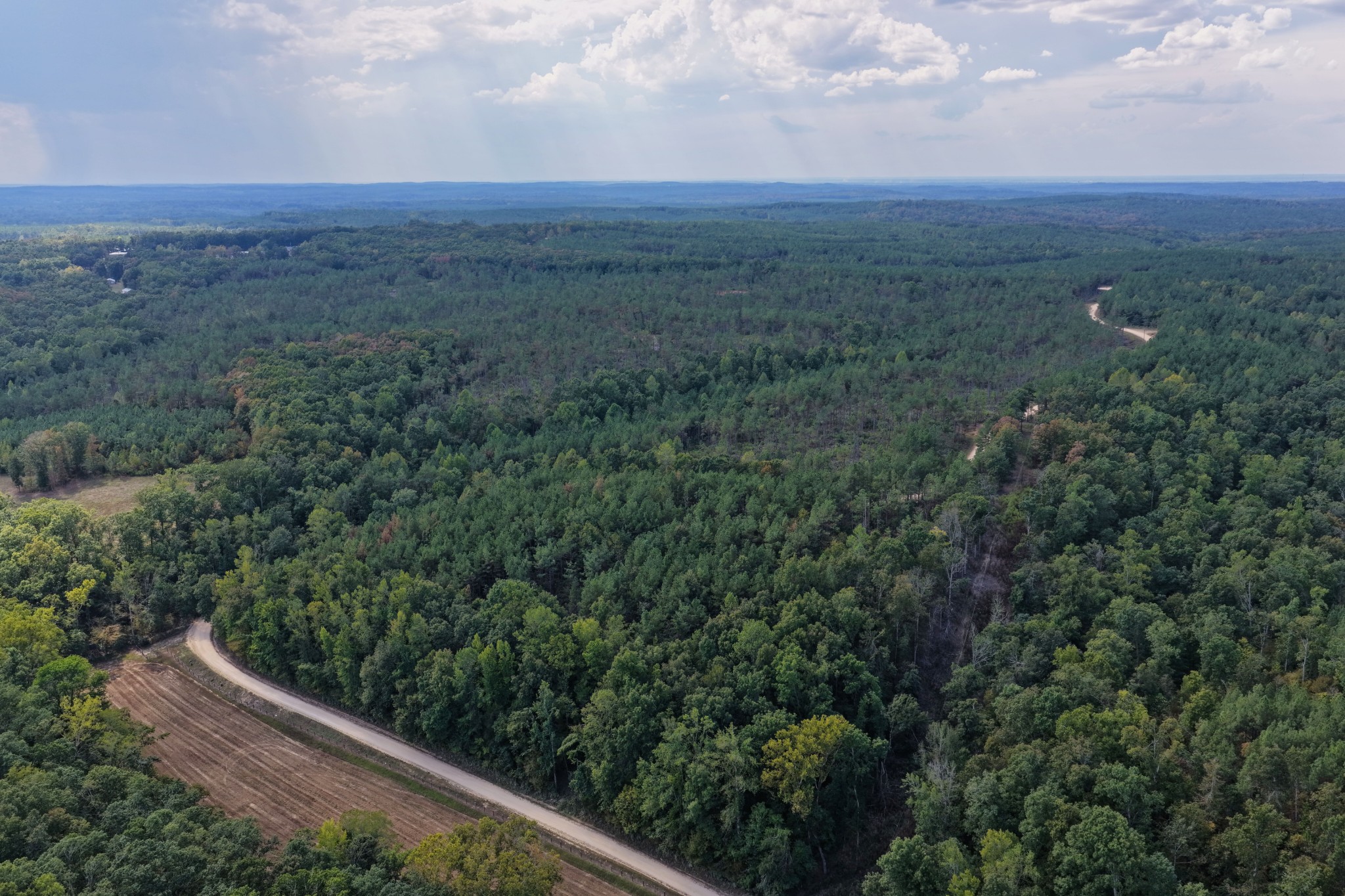 0 Coy Hill Road Savannah, TN 38372 - Photo 11 of 31 Gallery Image 11
