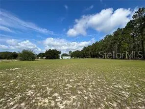 a view of a golf course with a lake