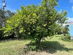 $290,000 | 16021 Southeast 170th Avenue, Weirsdale, FL 32195