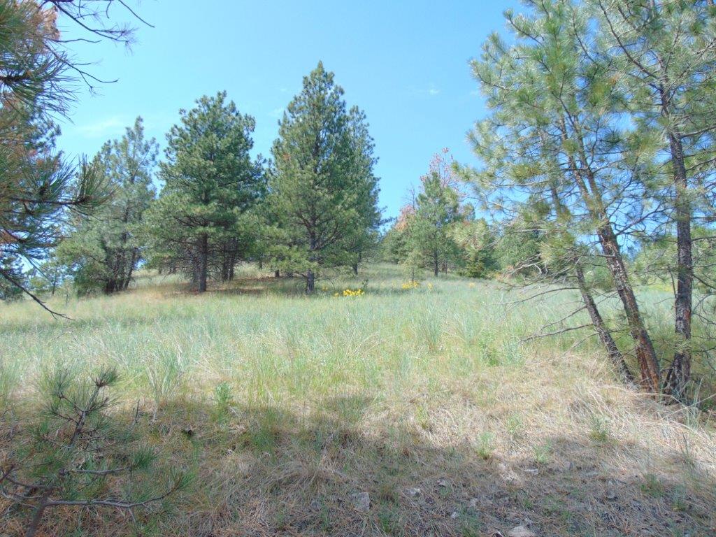 19 Lookout Lane Cascade, MT 59421 - Photo 16 of 30 Gallery Image 16