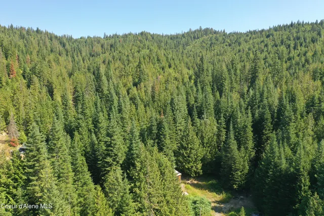 $151,900 | 1742 Dusty Lane, St. Maries, ID 83861