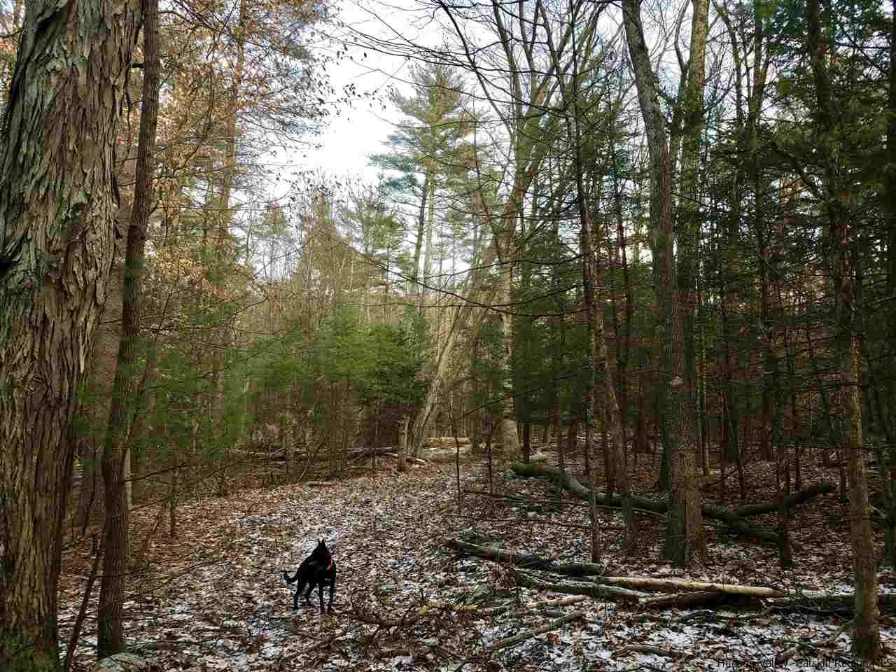 Tbd Tbd Scarawan Road Accord, NY 12404 - Photo 3 of 11 Photo 4