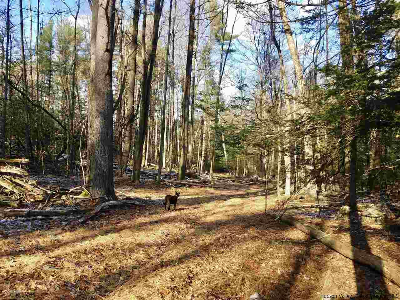 Tbd Tbd Scarawan Road Accord, NY 12404 - Photo 9 of 11 Photo 10