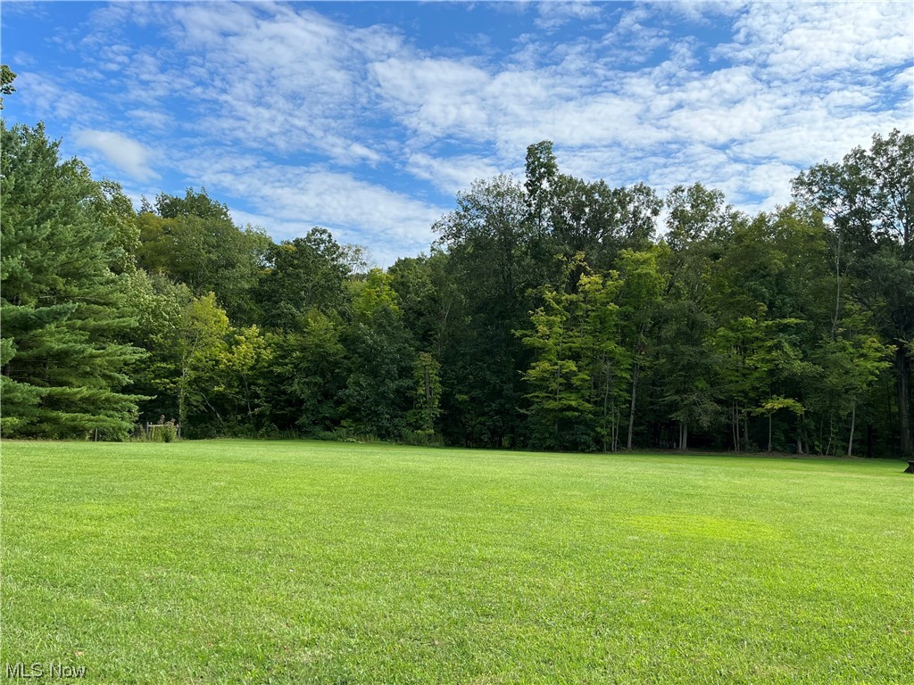 9632 Williams Road Diamond, OH 44412 - Photo 4 of 22 View of yard