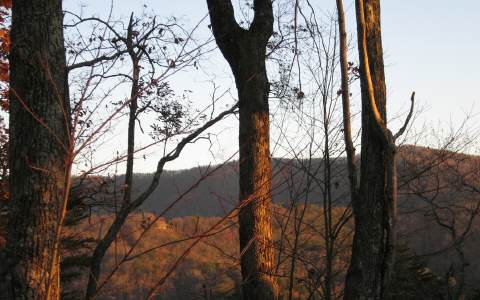 Lot15 Overlook Drive Blue Ridge, GA 30513 - Photo 1 of 1 Main View