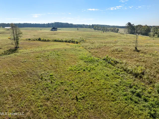 $410,000 | 1825 Big Creek Drive Southwest, Bogue Chitto, MS 39629