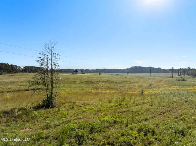 $410,000 | 1825 Big Creek Drive Southwest, Bogue Chitto, MS 39629