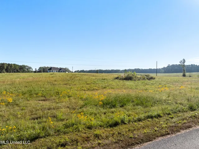 $410,000 | 1825 Big Creek Drive Southwest, Bogue Chitto, MS 39629