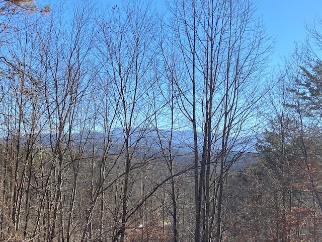 2 Bogard Road Cosby, TN 37722 - Photo 6 of 9