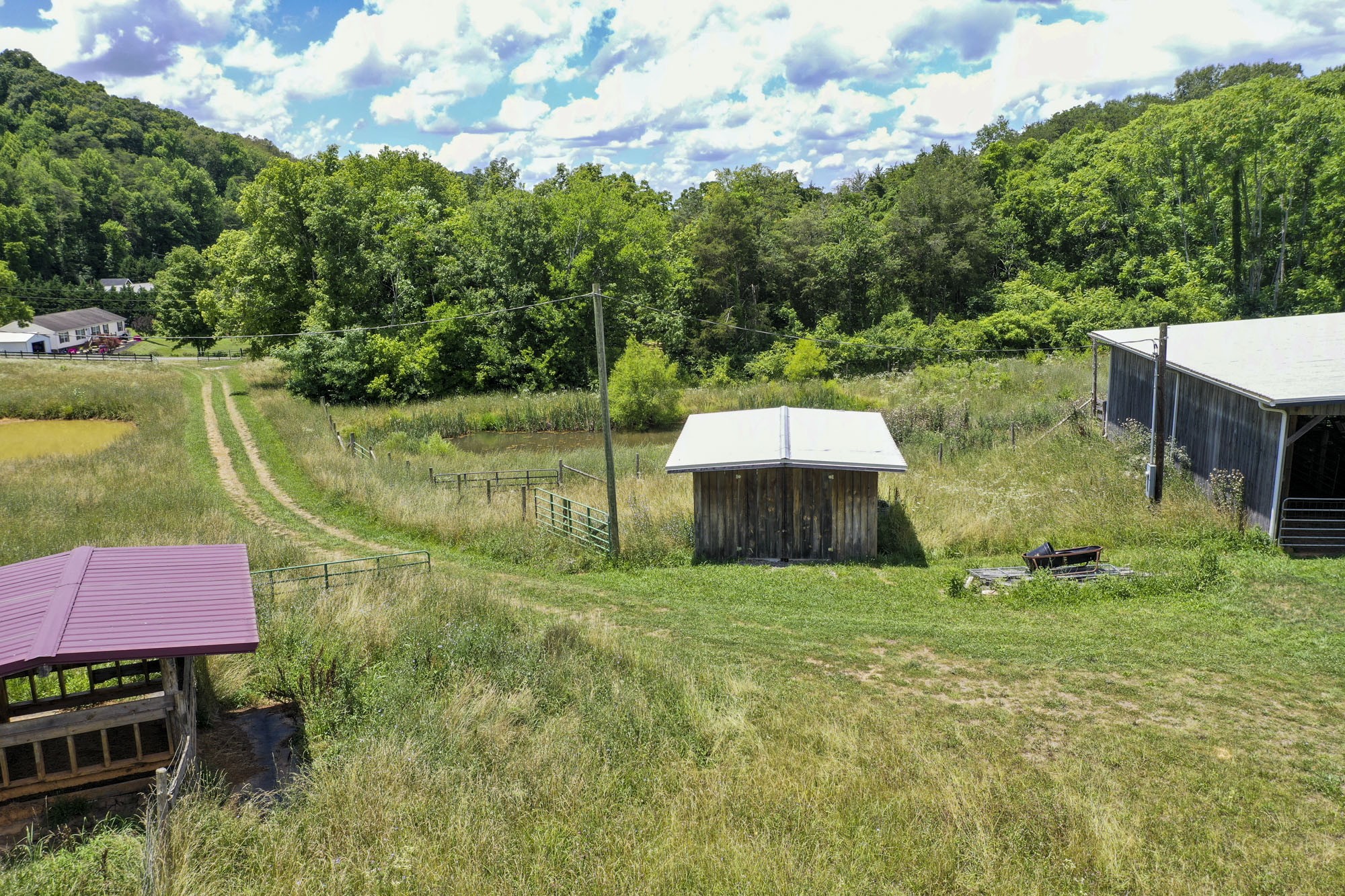 0 Cook Mill Road Dandridge, TN 37725 - Photo 14 of 26 a view of a backyard