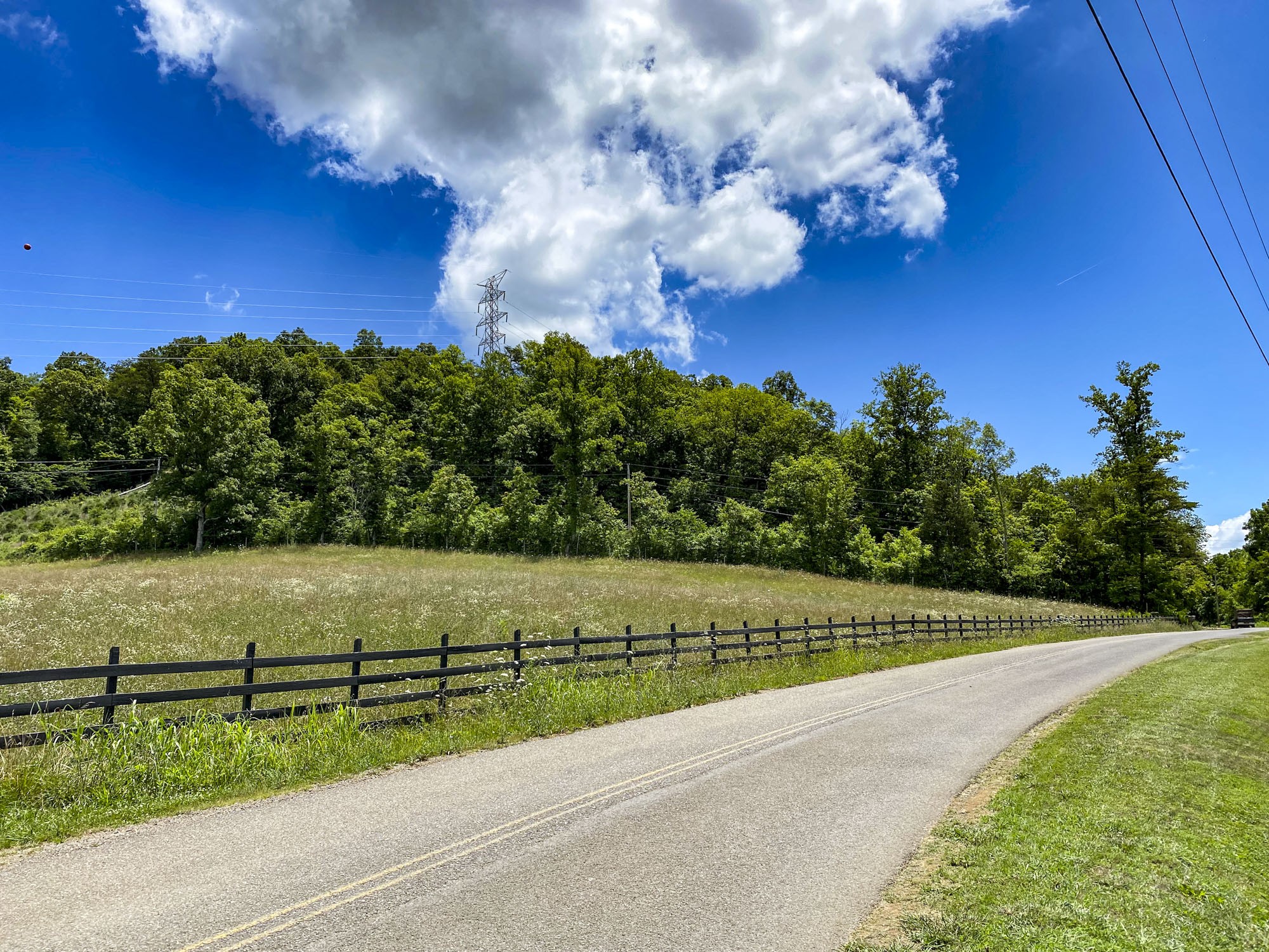 0 Cook Mill Road Dandridge, TN 37725 - Photo 3 of 26 a view of a terrace