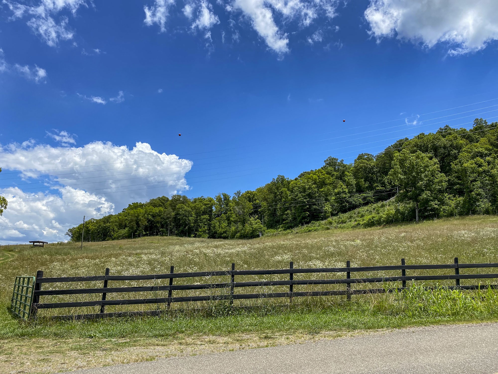 0 Cook Mill Road Dandridge, TN 37725 - Photo 4 of 26 a view of a bench in a yard