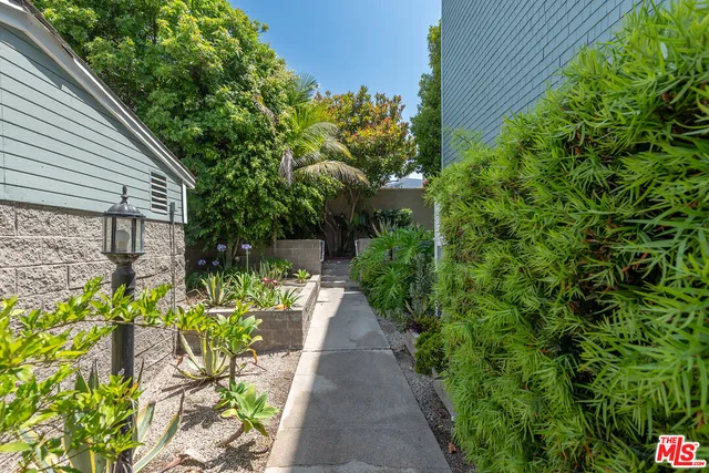 a view of a pathway with flower plants