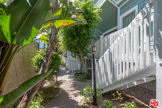 a view of a backyard with plants