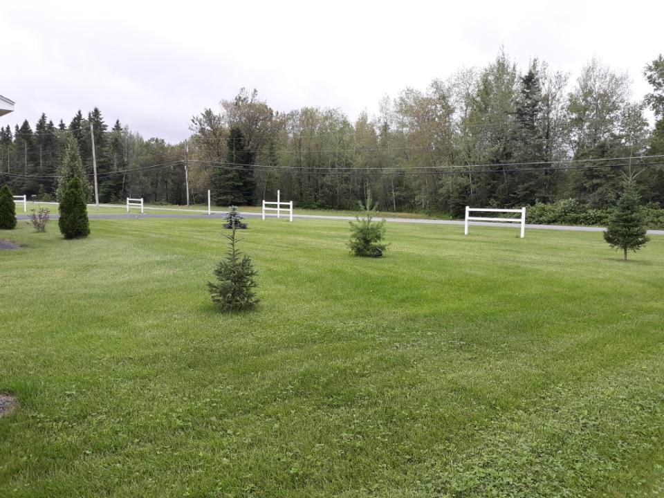 127 Madawaska Road Caribou, ME 04736 - Photo 28 of 31 1000000139