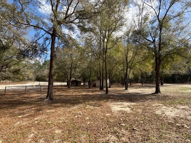 357 Southwest Conestoga Way Fort White, FL 32038 - Photo 35 of 44 a view of empty space with large trees