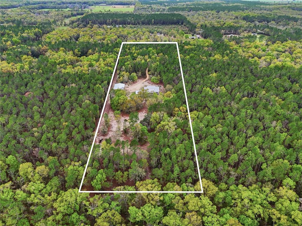 357 Southwest Conestoga Way Fort White, FL 32038 - Photo 36 of 44 a view of a yard with plants