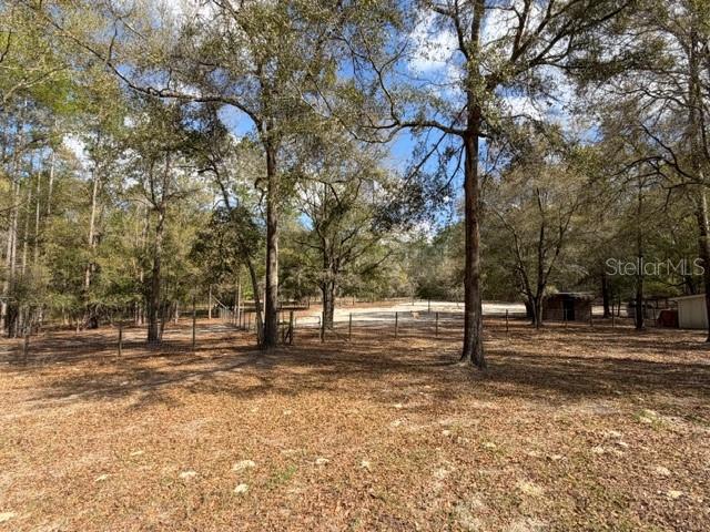 357 Southwest Conestoga Way Fort White, FL 32038 - Photo 37 of 44 a view of a yard with a tree