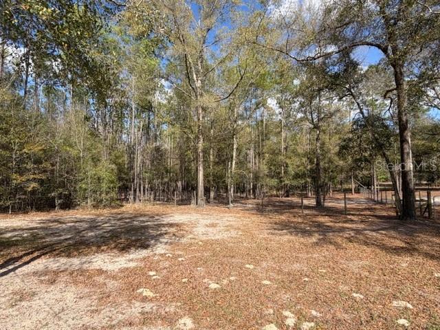 357 Southwest Conestoga Way Fort White, FL 32038 - Photo 38 of 44 a view of dirt yard with trees
