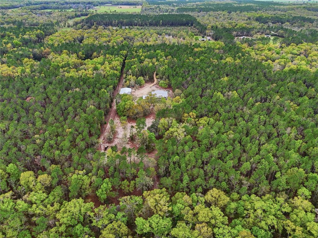 357 Southwest Conestoga Way Fort White, FL 32038 - Photo 39 of 44 a view of a garden with a lake
