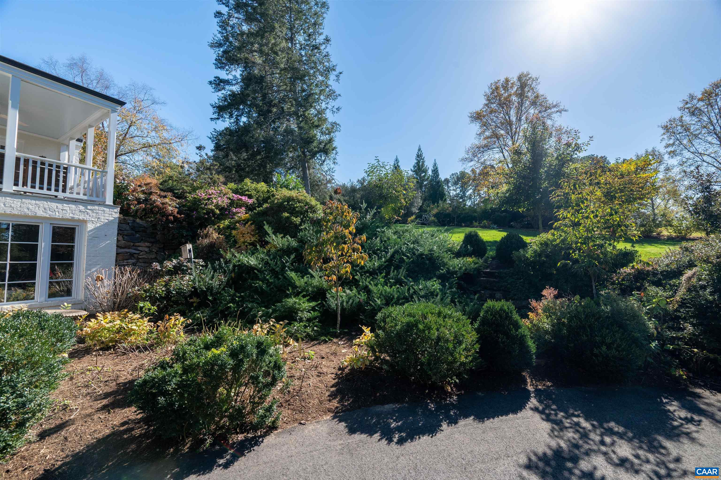 31 Old Farm Road Charlottesville, VA 22903 - Photo 45 of 62 a view of a garden with plants