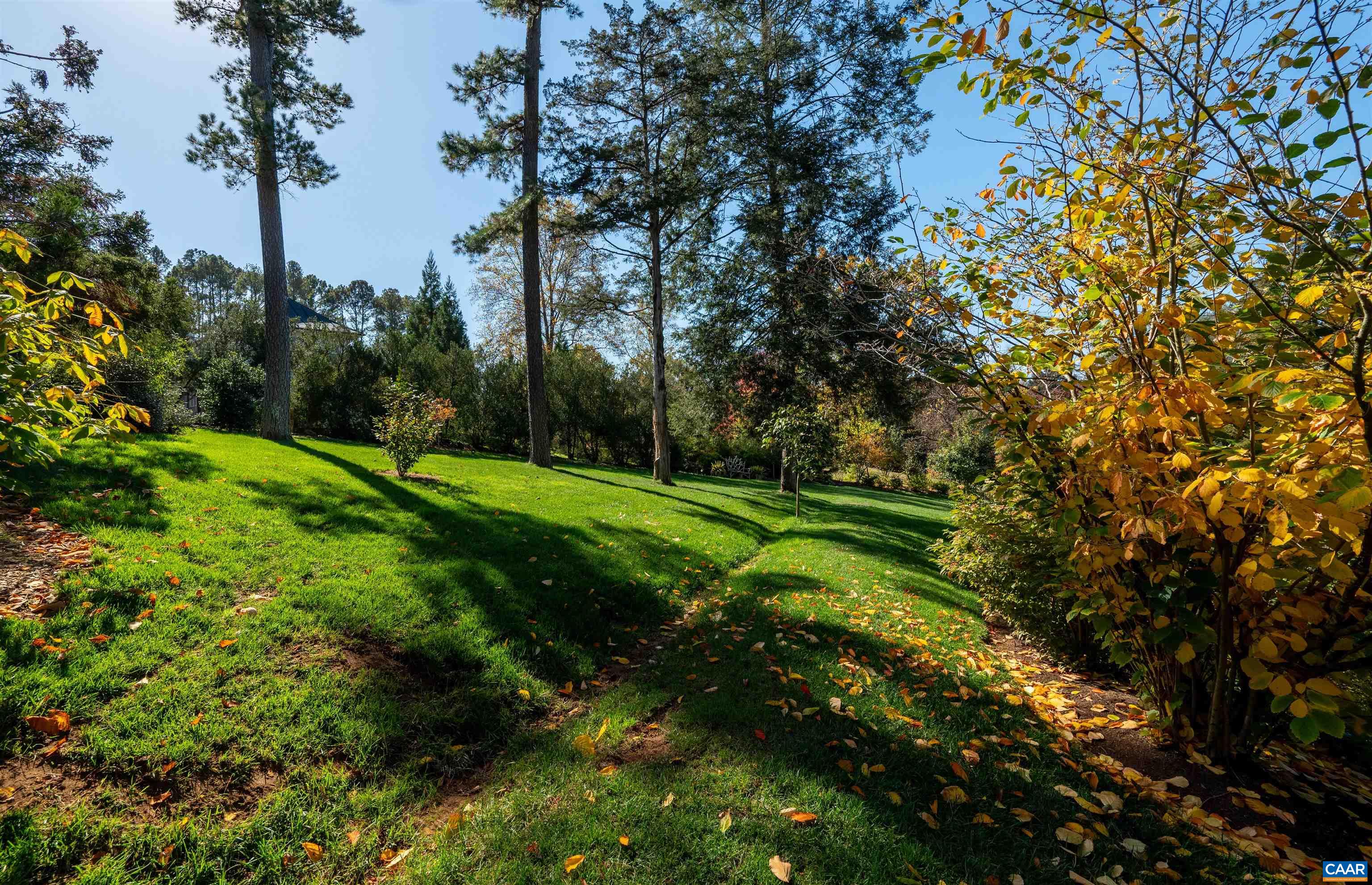 31 Old Farm Road Charlottesville, VA 22903 - Photo 49 of 62 a view of a golf course with a tree