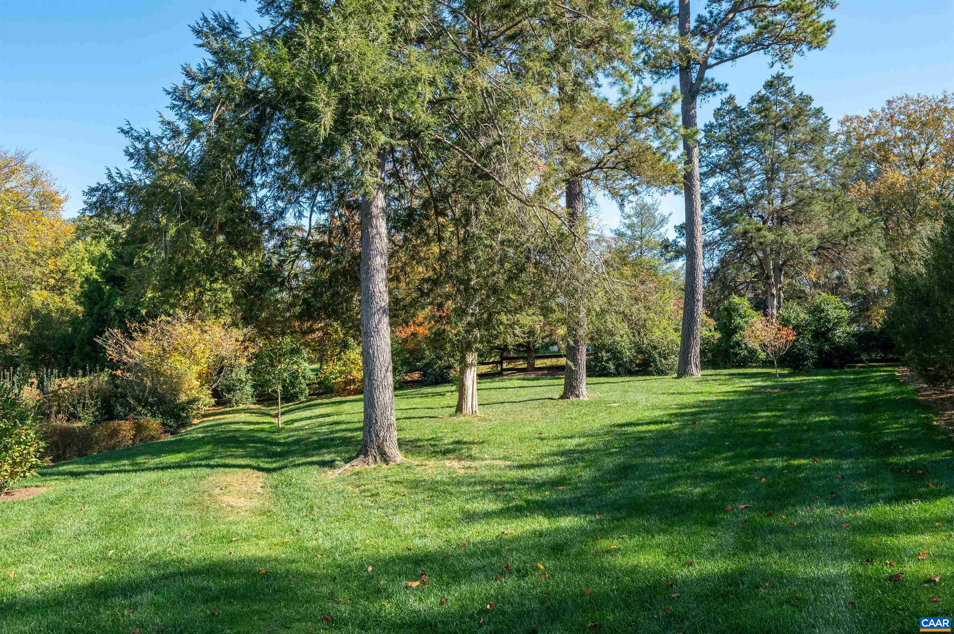 31 Old Farm Road Charlottesville, VA 22903 - Photo 57 of 62 a big yard with trees