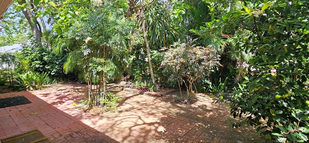 10728 Fallen Leaf Lane Port Richey, FL 34668 - Photo 36 of 48 Back Garden