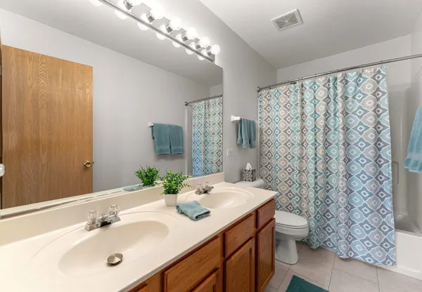 $535,000 | 24303 Linden Lane, Plainfield, IL 60585