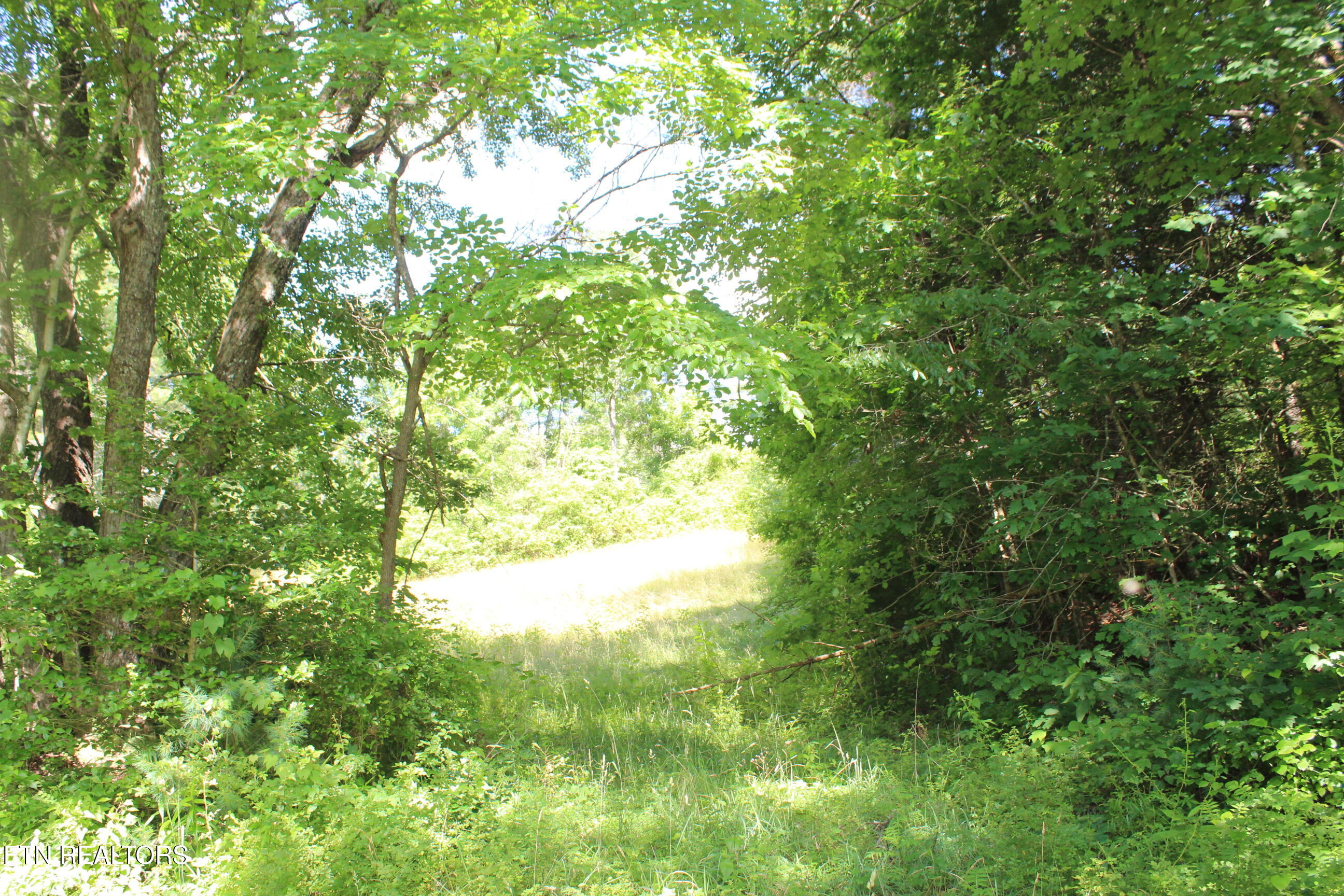704 Annadel Road Lancing, TN 37770 - Photo 30 of 39 030