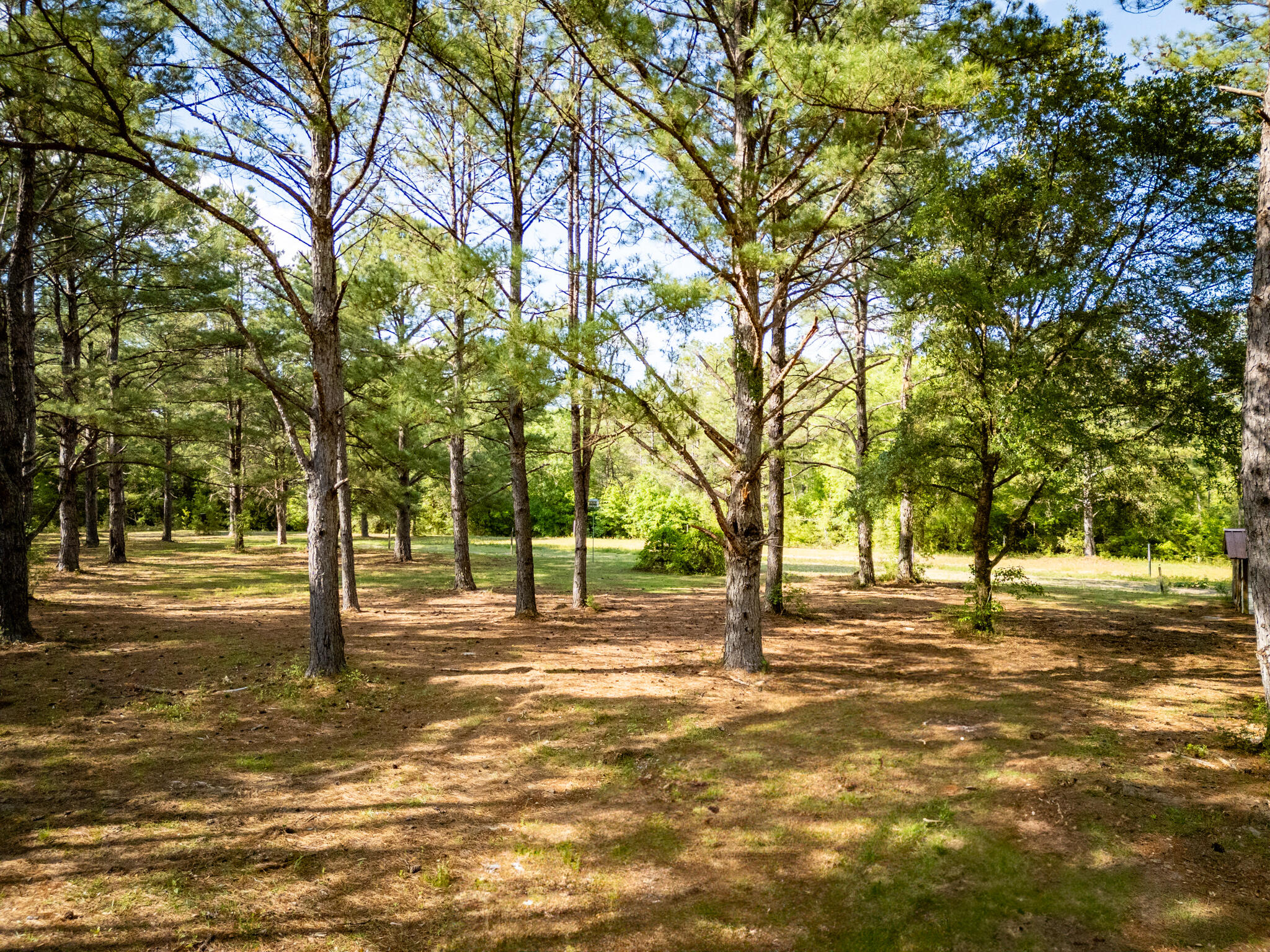 4353 Poverty Creek Road Crestview, FL 32539 - Photo 13 of 43 a view of road with trees