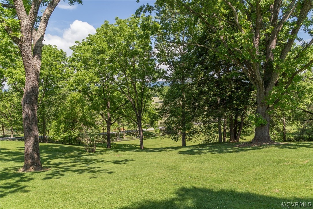7285 Plank Road Afton, VA 22920 - Photo 29 of 50 a view of outdoor space with trees all around