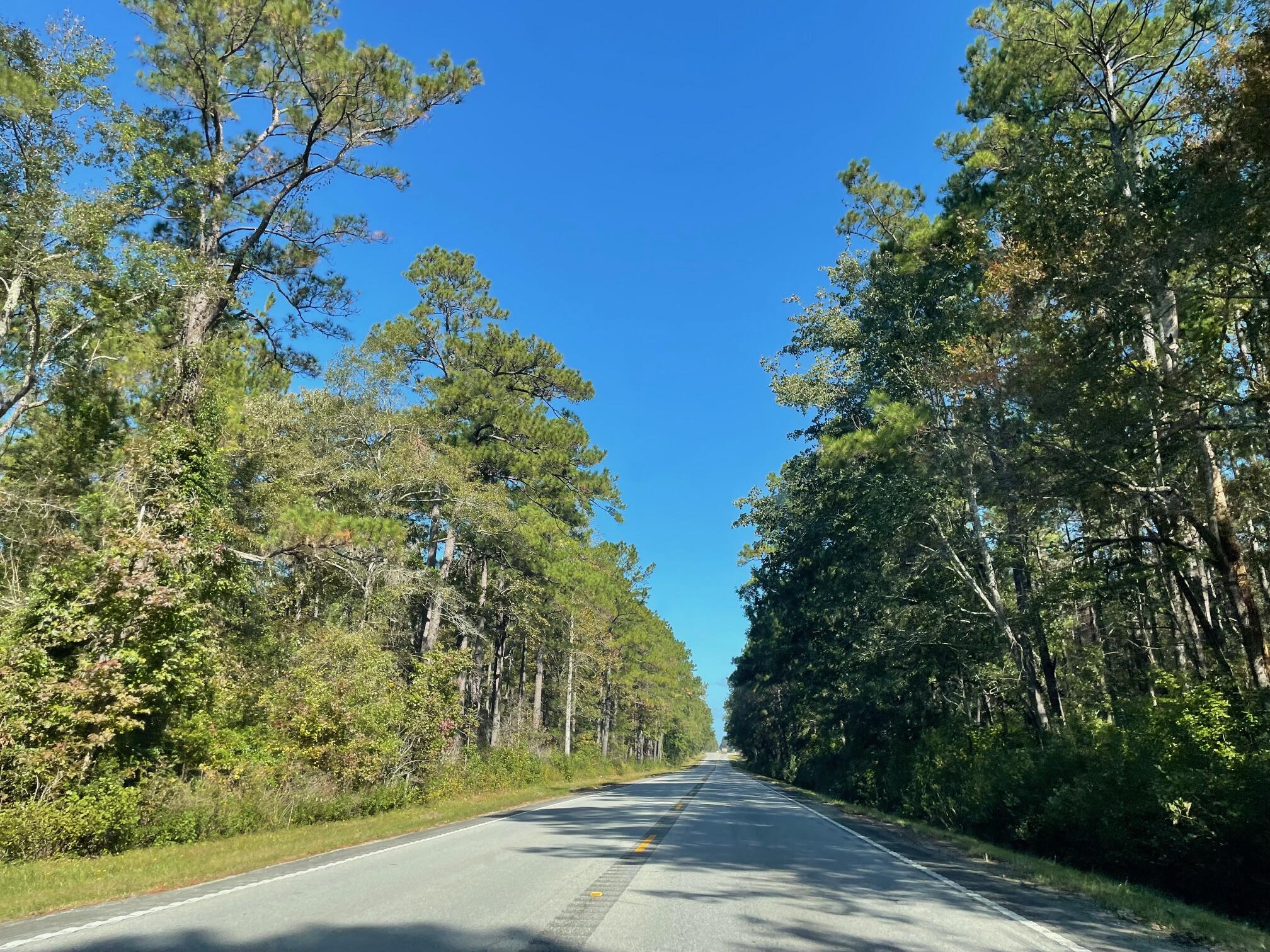 537 Rendezvous Way Huger, SC 29450 - Photo 25 of 27 Hwy 41