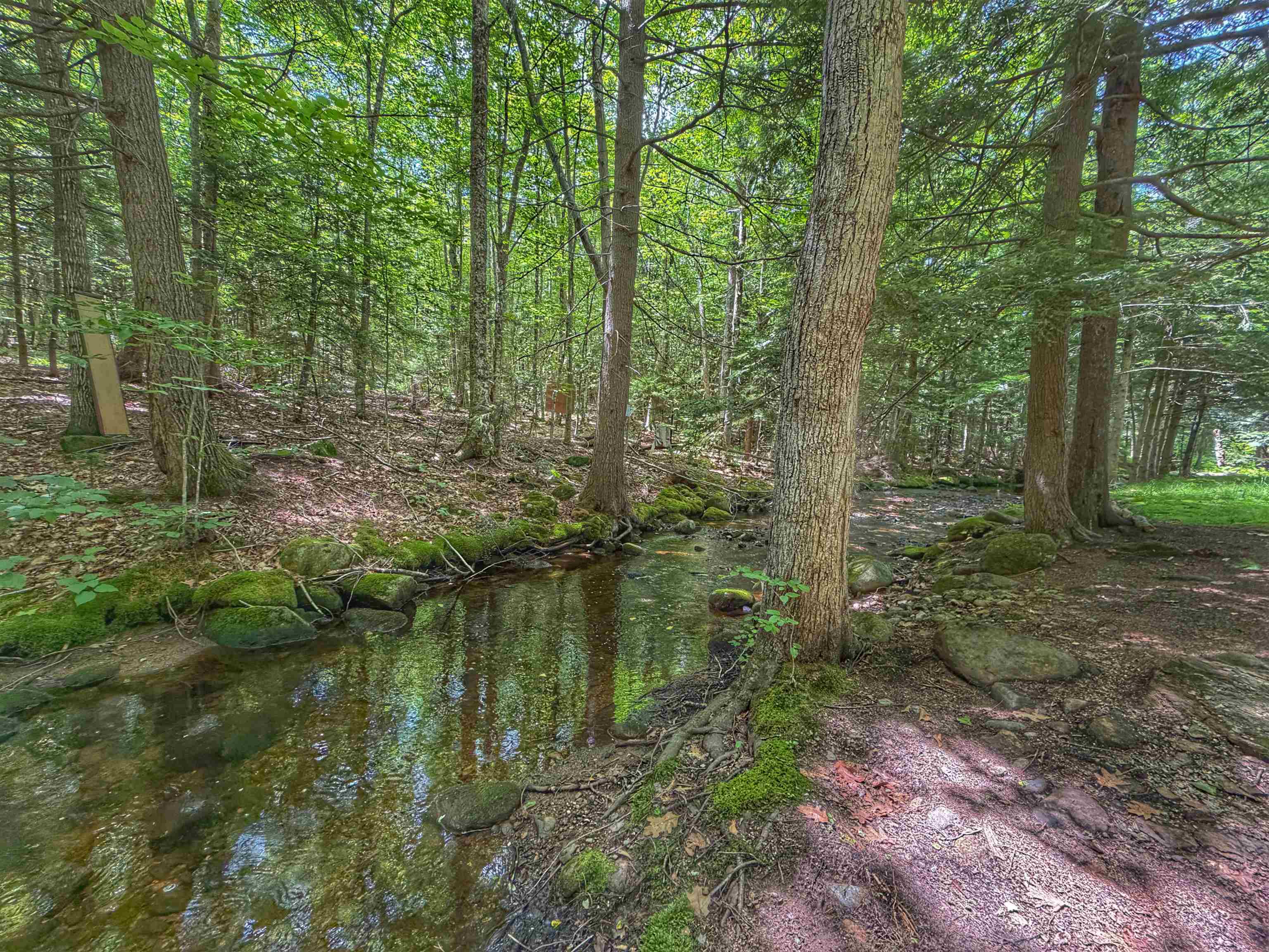 1238 Valley Road Washington, NH 03280 - Photo 42 of 42