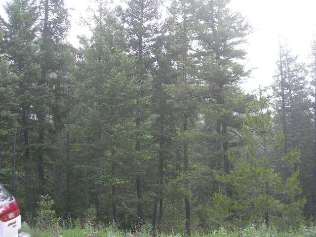 Lot 8 Pines Road Newport, WA 99156 - Photo 2 of 3