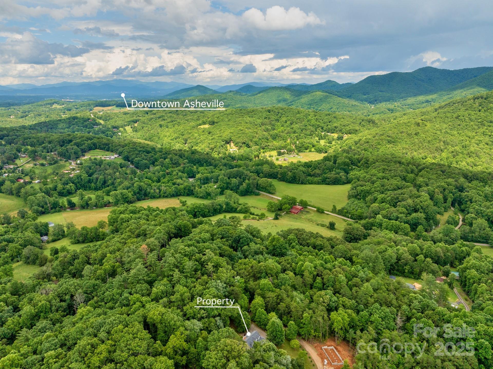 154 Burley Ridge Candler, NC 28715 - Photo 42 of 43