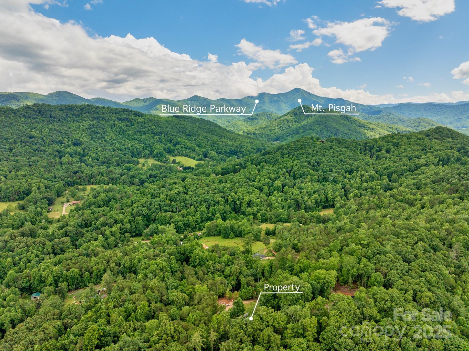 154 Burley Ridge Candler, NC 28715 - Photo 43 of 43