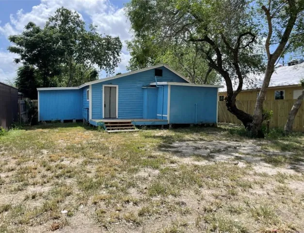 a view of backyard with potted plants and a large tree