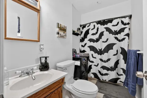 a bathroom with a sink a toilet and shower curtain