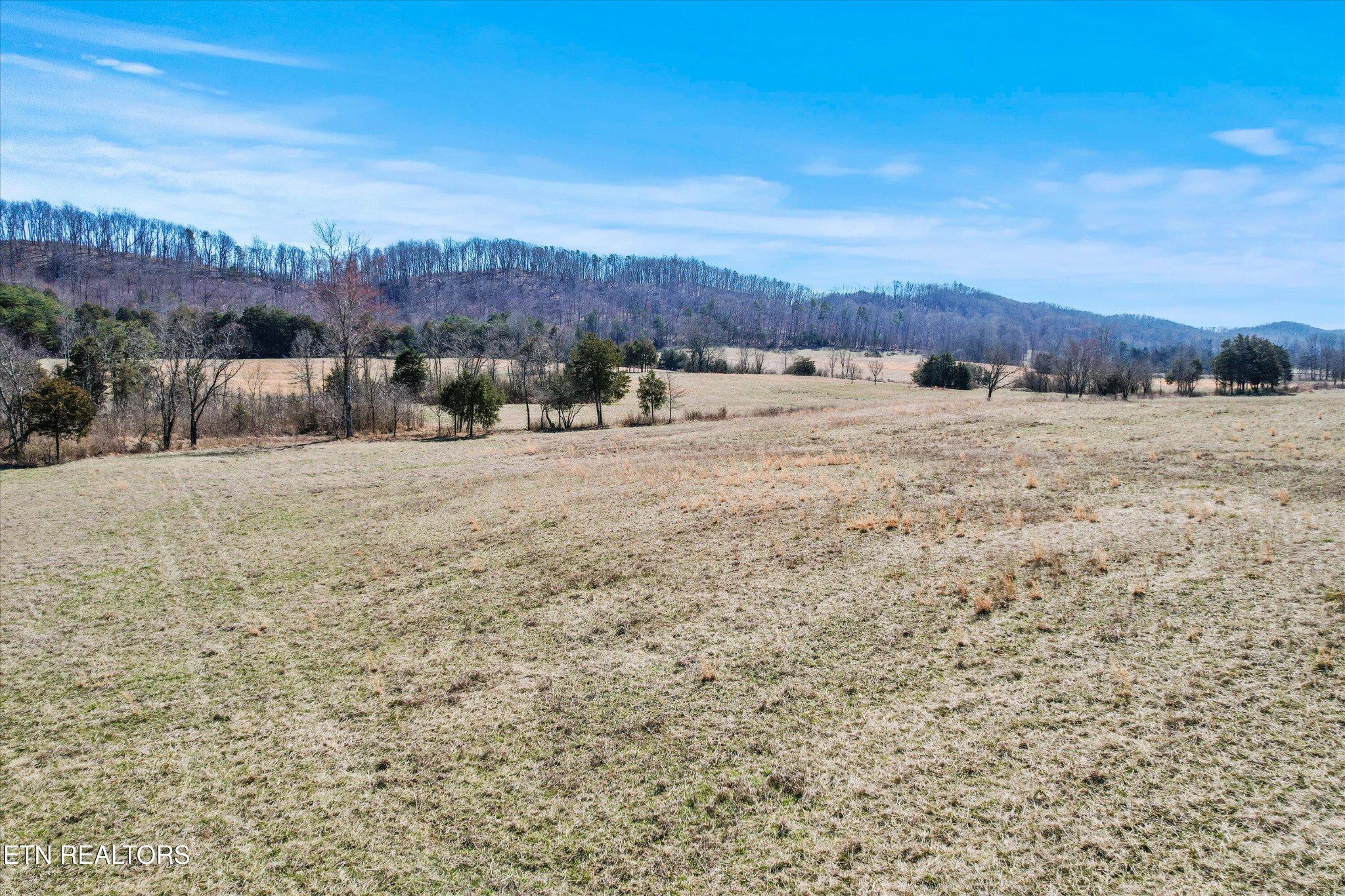 0 Paint Rock Valley Road Philadelphia, TN 37846 - Photo 8 of 40