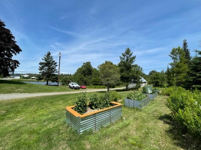 11 Lubec Road Whiting, ME 04691 - Photo 78 of 101 IMG_6644