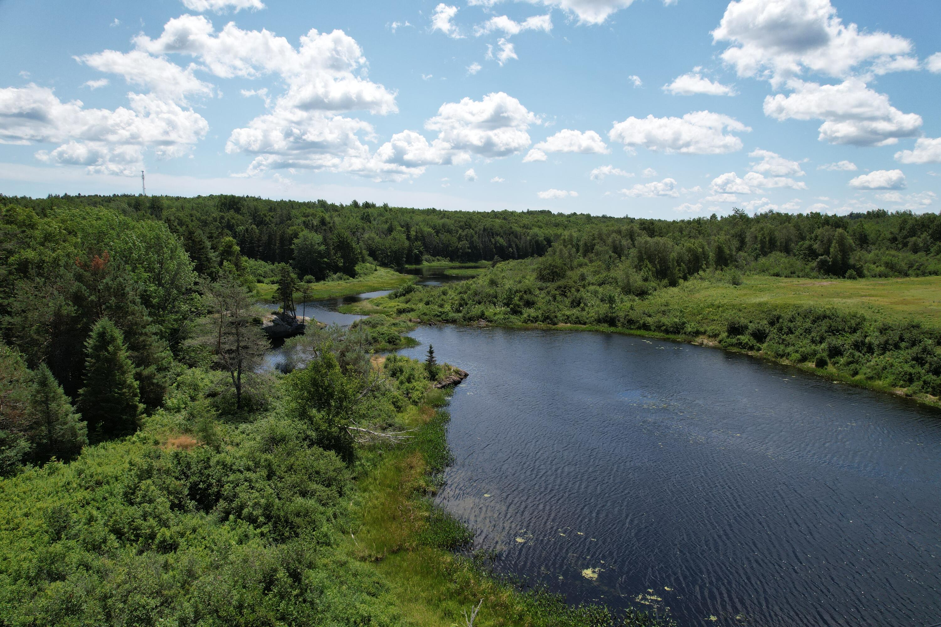 11 Lubec Road Whiting, ME 04691 - Photo 100 of 101 DJI_0282