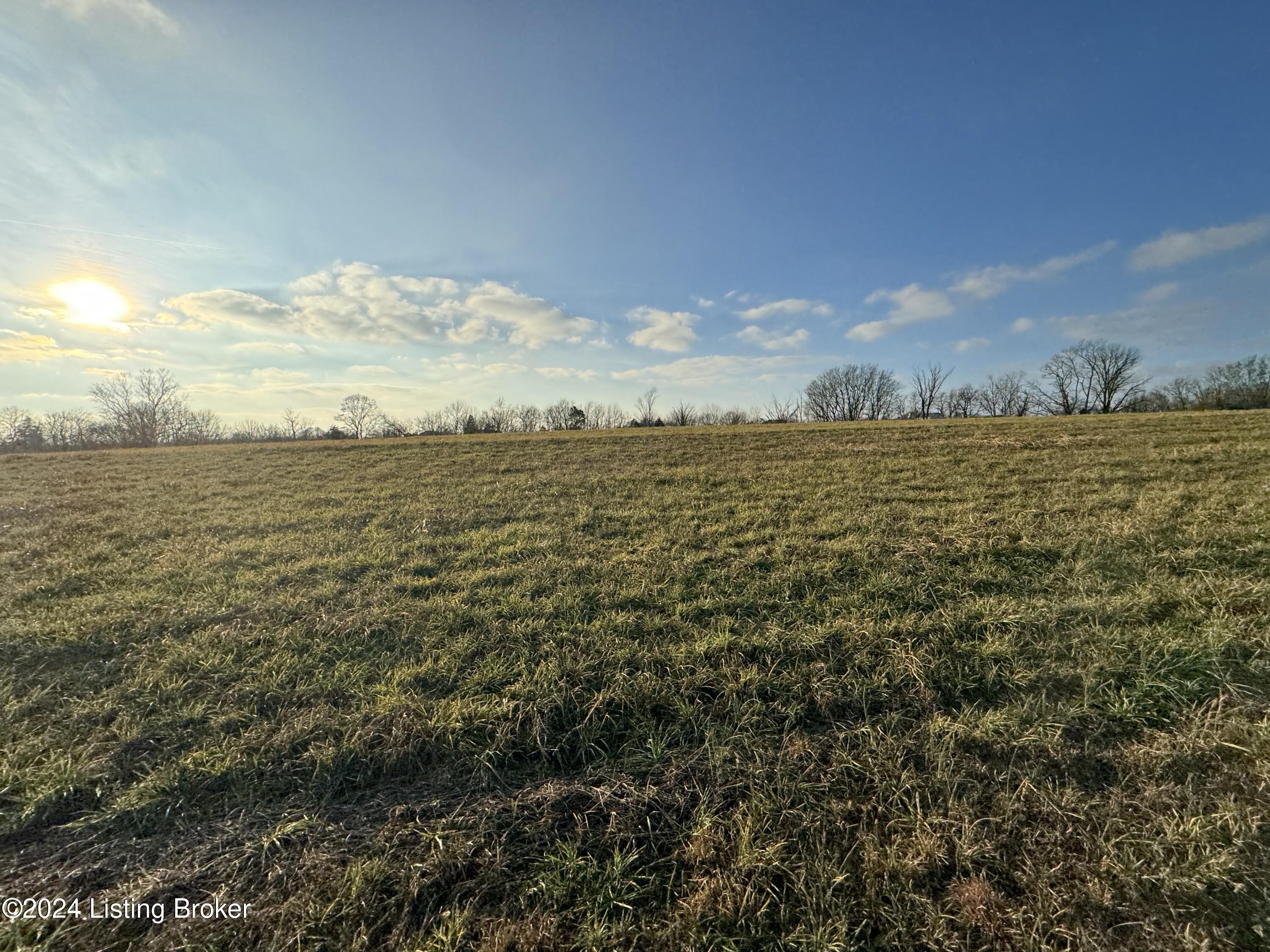 Lot 4 Mt Eden Road Waddy, KY 40076 - Photo 14 of 15 tempImageNRTBrI