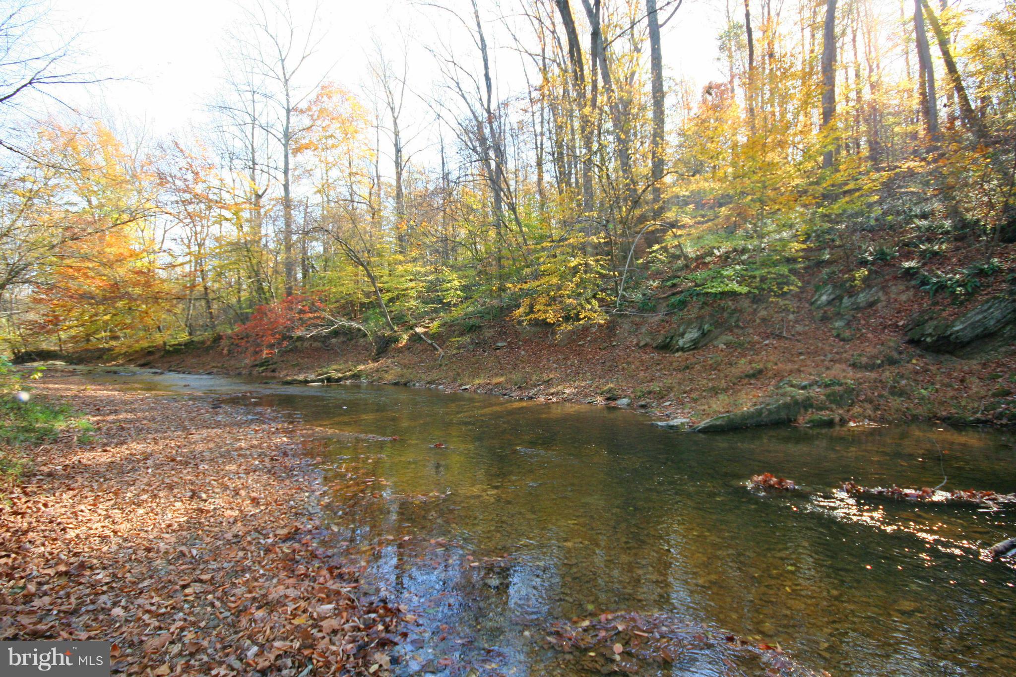 8179 Peters Road Dickerson, MD 20842 - Photo 11 of 17 View