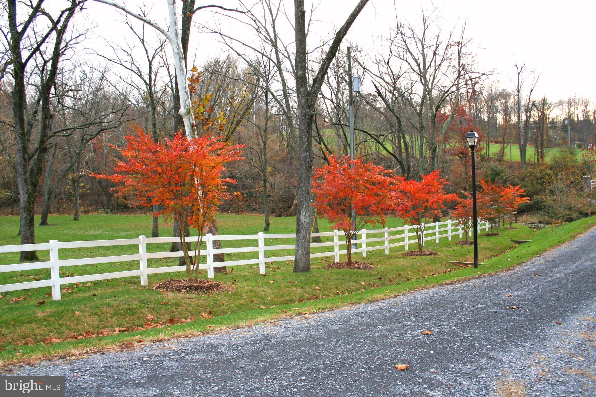 8179 Peters Road Dickerson, MD 20842 - Photo 15 of 17 View
